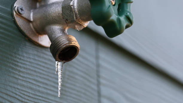 Best Plumbing Inspection Services  in Smith Mills, MA